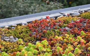 the cost of Tolm green roof installation