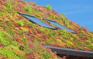 Tolm living roof systems