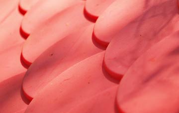 Tolm plastic roof costs