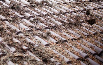 Tolm roof cleaning companies