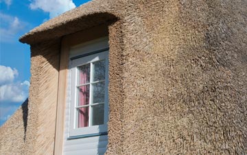 Tolm thatch roof disadvantages