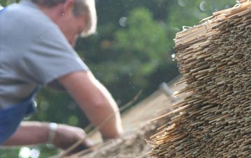 professional Tolm thatchers