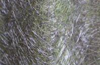 Tolm fibreglass roof work