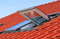 Tolm roof window